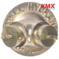 Exposed Two Way Wall Hydrant DMOCA40225F