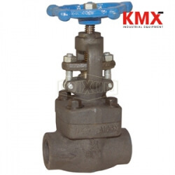 Forged Steel Globe Valve FSGLBV75