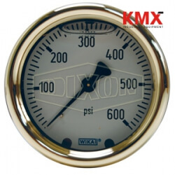 Brass Liquid Filled Gauge Center Back Mount GLBRC30
