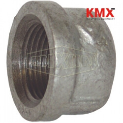 NPT Threaded Cap MICAP200G