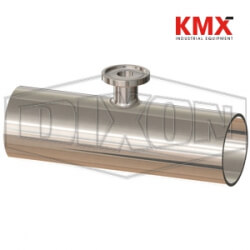 BioPharm Weld x Weld x Clamp Short Outlet Reducing Tee T7RWWMS300050PL