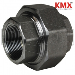 NPT Threaded Union TUN200FS