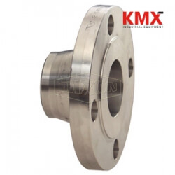150 LB. ASA Forged Weld Neck Flange WN200