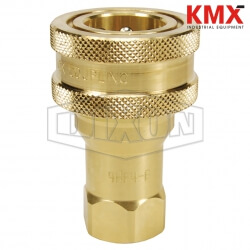 DQC H-Series ISO-B Poppet Valve Female Threaded Coupler 2HF2-B