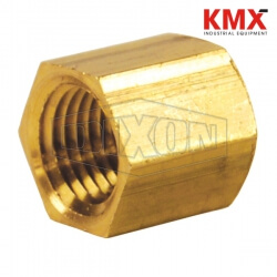 NPT Pipe Cap 2130800CLF