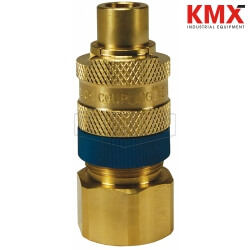 Dix-Lock® N-Series Bowes Interchange Female Threaded Safety-Lock Plug N4F6-B-LS