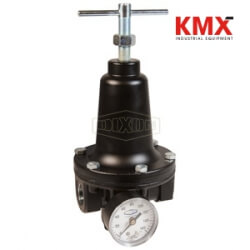R119 Watts FRL's Standard Regulator R119-08CG