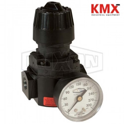 Wilkerson FRL's R16 High Pressure Compact Regulator R16-02RHG