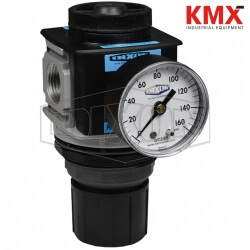 Wilkerson FRL's R28 Standard Regulator R28-03RG