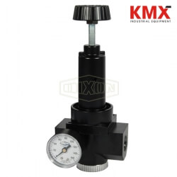 Wilkerson FRL's R30 High Flow Regulator R30-06RG