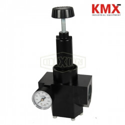 Wilkerson FRL's R40 High Flow Regulator R40-0BRG