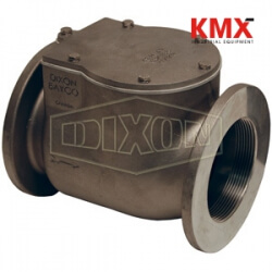Bayco Classic 3000 Series Swing Check Valve Female NPT 3000TE-SSP