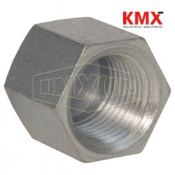 Female NPTF Hex Cap 5406C-24