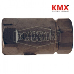 Ball Cone Check Valve Female NPT x Female NPT 62-102