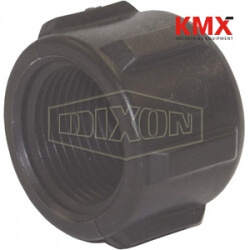 Schedule 80 Threaded Polypropylene Pipe Cap 62250