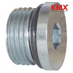 Hollow Hex O-ring Plug 6408HHP-10