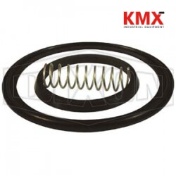 Spring Check Valve Repair Kit B46MP-RKV300