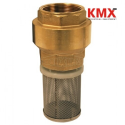 Strainer with Spring-Loaded Check Valve BVFS40